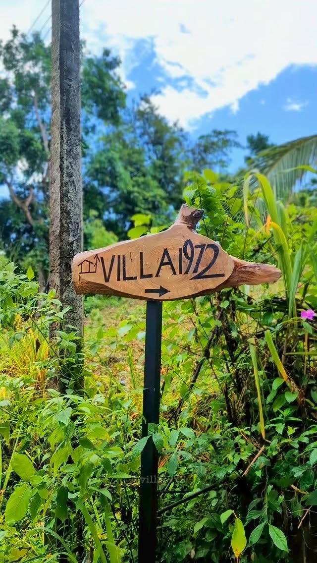 Nature’s calm, your retreat 🍃

#travel #villa1972 #srilankatravel