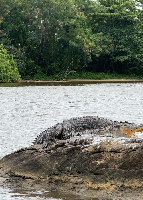 WhatsApp Image 2025-12-02 at 14.29.00