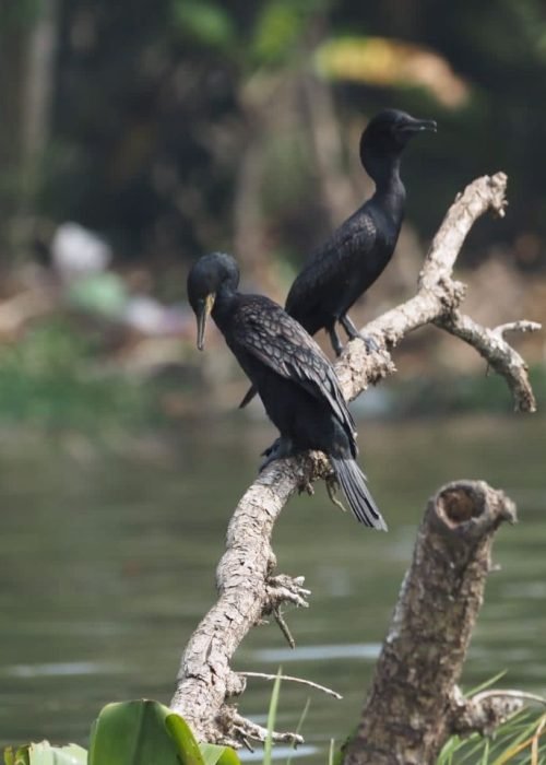 WhatsApp Image 2025-12-02 at 14.47.34 (1)