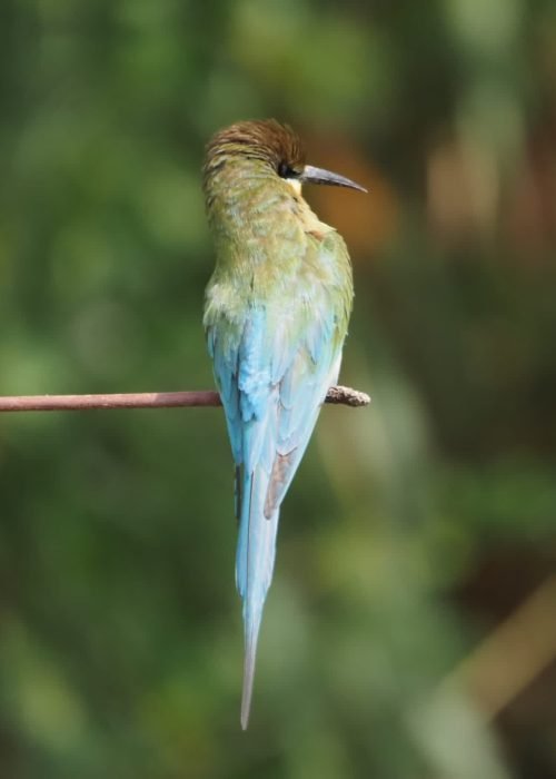 WhatsApp Image 2025-12-02 at 14.47.34 (2)