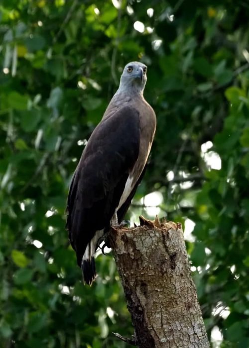 WhatsApp Image 2025-12-02 at 14.47.34 (5)