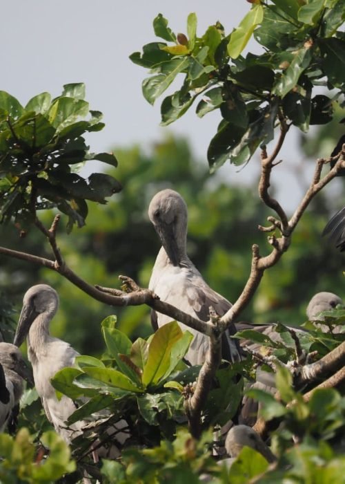 WhatsApp Image 2025-12-02 at 14.47.34 (6)