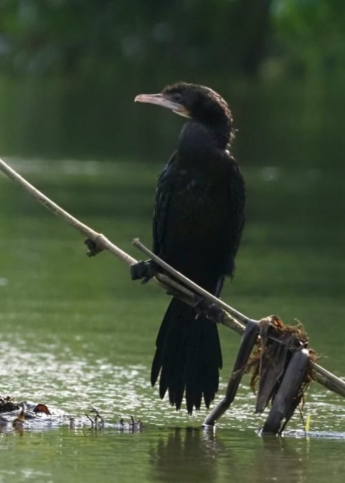 WhatsApp Image 2025-12-02 at 14.47.34 (7)