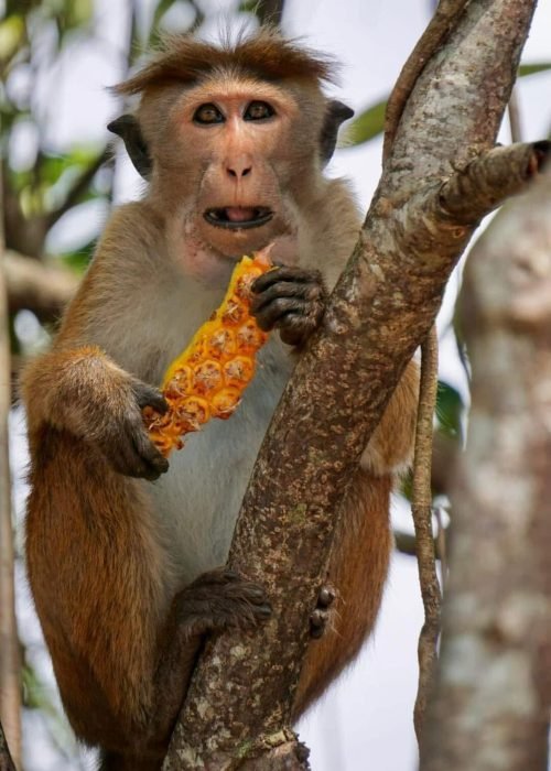 WhatsApp Image 2025-12-02 at 14.47.34 (8)