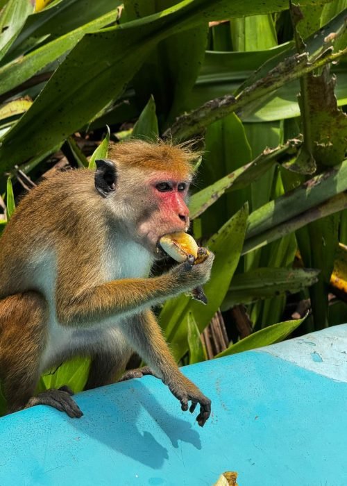 WhatsApp Image 2025-12-02 at 14.47.34 (9)