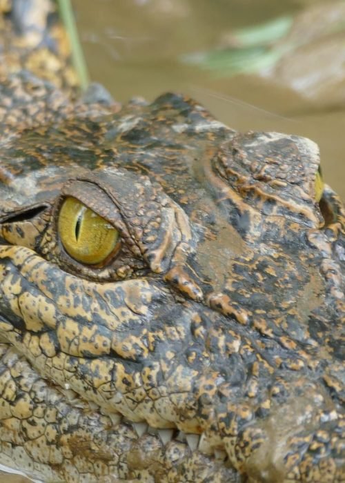 WhatsApp Image 2026-03-24 at 22.23.04