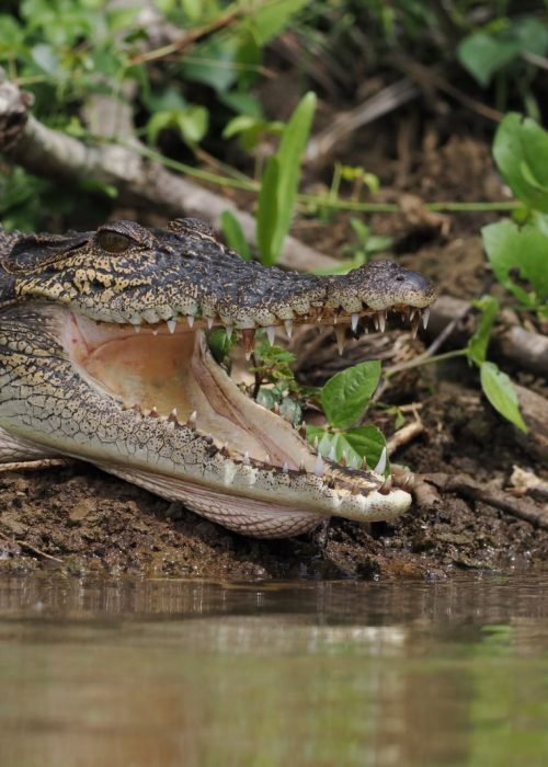 WhatsApp Image 2026-03-24 at 22.23.04