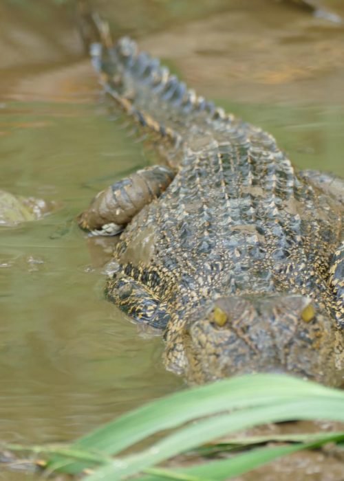 WhatsApp Image 2026-03-24 at 22.23.05